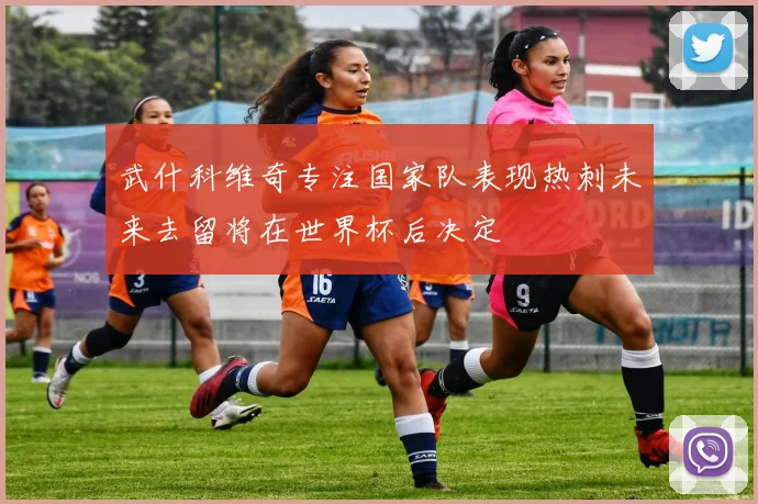武什科维奇专注国家队表现热刺未来去留将在世界杯后决定